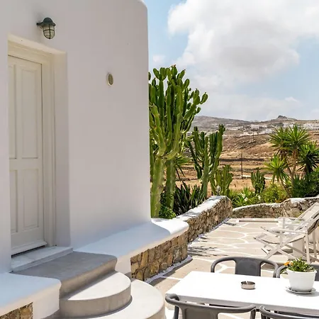 Afroditi Ftelia Anemone Dom wakacyjny Panormos (Mykonos)